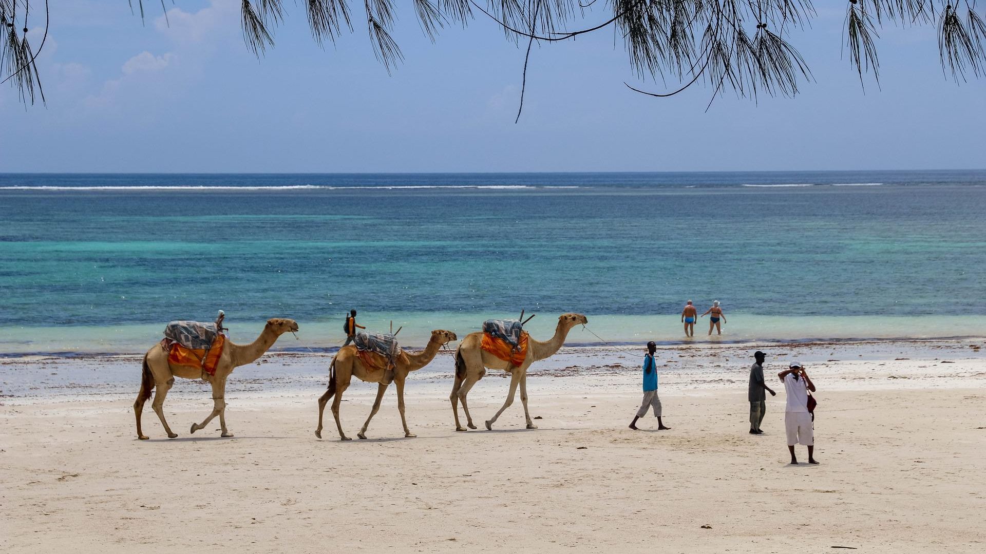 Ocean View at Diani Beach, Kenya- Things To Do In Kenya