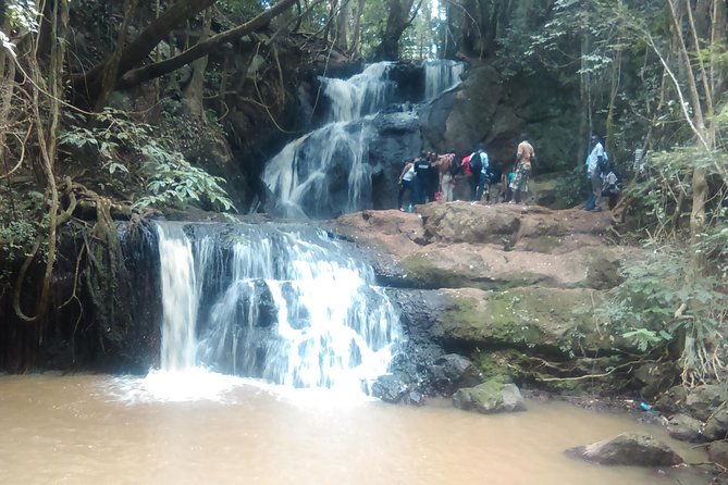 Nairobi Day Tour to Karura Forest Hike, Trail Bike & Nature Walk ...